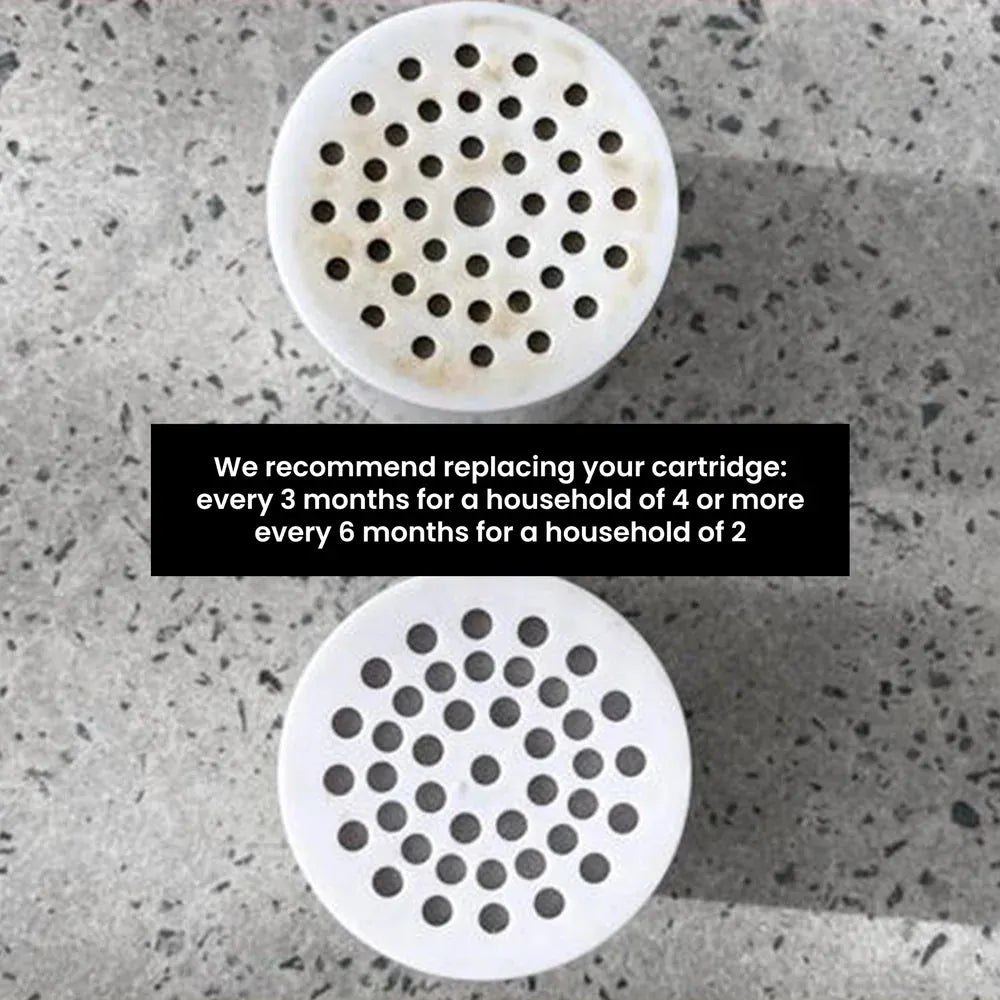 Shower Filter Gold - Filtered Beauty - Hairspa